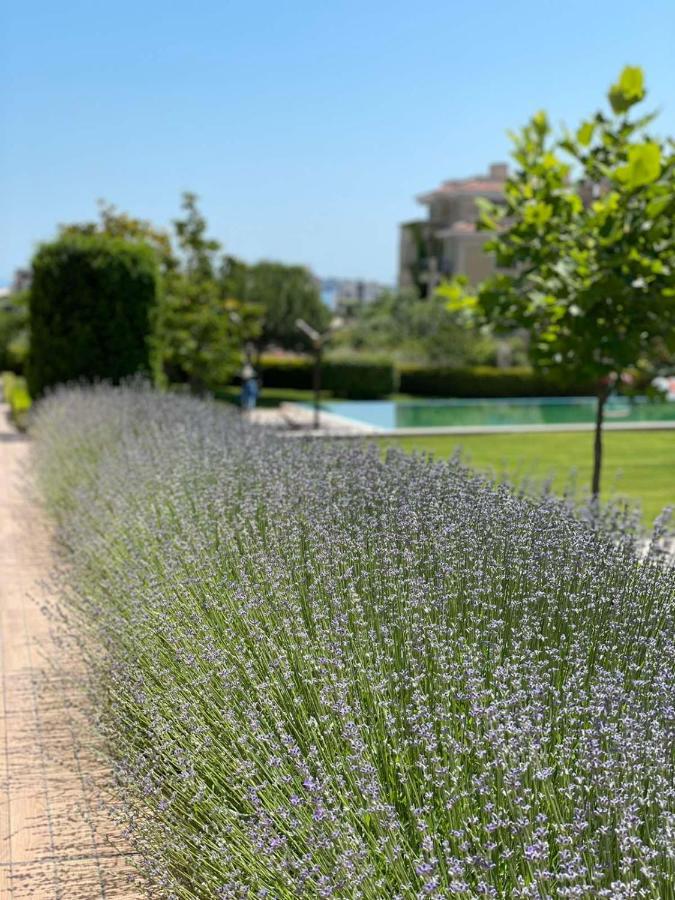 Provence Deluxe Apartment In Atia Resort チェルノモレツ エクステリア 写真